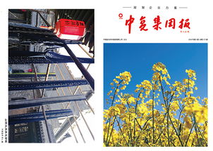 連云港中復(fù)連眾復(fù)合材料集團2018第三期產(chǎn)品與服務(wù)概覽